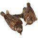 Pair of Whinchats 11 / 8 / 11 cm, porcelain, Goebel
