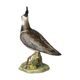 Figurka Čejka veliká 14 / 9 / 18 cm, biskvitový porcelán, pták roku 2024, Goebel