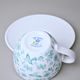 Šálek 250 ml a podšálek 15 cm Milada, Fragmenty cibuláku, zelená, Český porcelán a.s.