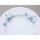 BERNADOTTE Hořec: Talíř hluboký 23 cm, Thun 1794, karlovarský porcelán