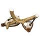 Pair of Whinchats 11 / 8 / 11 cm, porcelain, Goebel