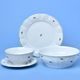 Dinner set 13 pcs., red flowers + green, G. Benedikt 1882