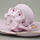Cup and saucer TV, Lenka 563, Rose China