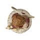 Angel Silent Night 8,5 / 9 / 16,5 cm, stoneware, Goebel