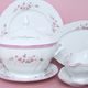 Pink line: Dining set for 6 persons, Thun 1794 Carlsbad porcelain, BERNADOTTE roses