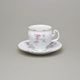 Cup and saucer coffee 150 ml / 15 cm, Thun 1794, karlovarský porcelán, BERNADOTTE climbing rose + gold