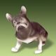 Bulldog 13 x 7,5 x 12 cm, pastel, Porcelain Figures Duchcov