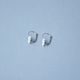 Earrings: Daisy 1 cm, Hanging, Porcelain Jewels Studio Mallys
