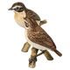 Pair of Whinchats 11 / 8 / 11 cm, porcelain, Goebel