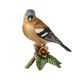 Chaffinch 8 / 10,5 / 10 cm, Biscuit china, Goebel
