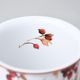 Mug Tina Fantasia, Autumn, 380 ml big, Cesky porcelan a.s.