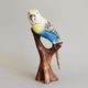 Parrot of Australian (yellow-blue), 13,5 x 13,5 x 28 cm, Pastel, Porcelain Figures Duchcov