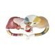 Cats Vivien and Peppie 16 / 9 / 14cm, biscuit china, Cats Goebel R. Wachtmeister