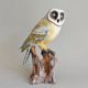 Screech-owl, 22 x 16,7 x 31,5 cm, Pastel, Porcelain Figures Duchcov