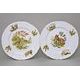 Plate dinner 25 cm set of 6 pcs., Thun 1794 Carlsbad porcelain, BERNADOTTE myslivecká