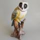 Screech-owl, 22 x 16,7 x 31,5 cm, Pastel, Porcelain Figures Duchcov