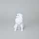 Pes Kavalír king Charles španěl, 13 x 7,2 x 11 cm, bílé, Porcelánové figurky Duchcov