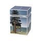 Tea tin Ocean love 7,5 / 7,5 / 11 cm, Goebel