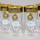 Astra Gold: Liqueur (shot) cup 50 ml, 6 pcs. set, Quadro crystal, Lilit and Leo Golden Black decor