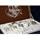 Cutlery set 24 pcs., Thun 1794 Carlsbad porcelain, BERNADOTTE Forget-me-not-flower