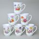 Mug Derby 250 ml, set 6 pcs., colorful flowers, Český porcelán a.s.