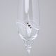 Apollo - Set of 2 champagne glasses 210 ml, Swarovski Crystal, DIAMANTE