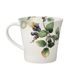 Hrnek sýkorka modřinka 13 / 10,5 / 9,5 cm, jemný kostní porcelán, Goebel