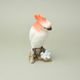 Papoušek 18 cm, pastel, Porcelánové figurky Duchcov