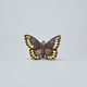 Great Banded Grayling Butterfly, 4 x 6 x 3 cm, Pastel, Porcelain Figures Duchcov