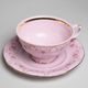 Cup tea 200 ml and saucer, Sonata decor 158, Leander Rose china