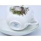 Šálek a podšálek D + D 0,40 l / 18,2 cm, myslivecký, Český porcelán a.s.