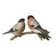 Bullfinch couple 23,5 / 8,5 / 11 cm, biscuit porcelain, Goebel