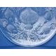 Crystal Hand Cut Plate / Platter - Thistle decor, 355 mm, Crystal Bohemia Poděbrady