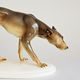 Dog, 15 x 18 x 24 cm, Porcelain Figures Gläserne Porzellanmanufaktur