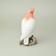 Papoušek 18 cm, pastel, Porcelánové figurky Duchcov
