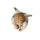 Angel Spicy Coffe Scent 5 / 5.5 / 10cm, biscuit china, Nina & Marco, Goebel