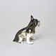Buldok 13 x 7,5 x 12 cm, Luxor, Porcelánové figurky Duchcov, 2.j.
