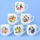 Mug Trojka 0,28 l, Fruits, 6 pcs. set, Český porcelán a.s.