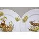 Plate - dinner 25 cm / random choice, Thun 1794 Carlsbad porcelain, BERNADOTTE hunting