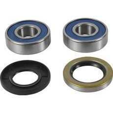 WHEEL BEARING KIT ALL BALLS RACING WB25-1815 PRIEKINIŲ