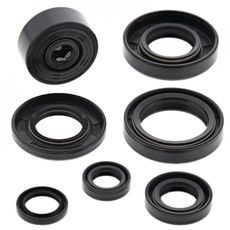 ENGINE OIL SEAL KIT WINDEROSA 822112