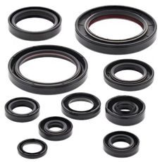 ENGINE OIL SEAL KIT WINDEROSA 822248