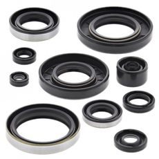 ENGINE OIL SEAL KIT WINDEROSA 822287