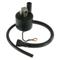 UŽDEGIMO RITĖ ARROWHEAD IYA0001