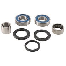 WHEEL BEARING KIT ALL BALLS RACING 25-1789 WB25-1789 GALINIS