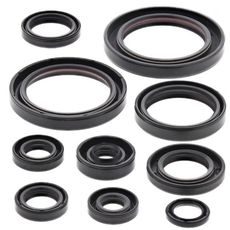ENGINE OIL SEAL KIT WINDEROSA 822178