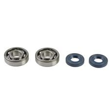 ALKŪNINIO VELENO ATSTATYMO KOMPLEKTAS ATHENA P400250444082 (BEARING AND OIL SEAL KIT)