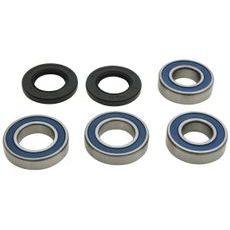 WHEEL BEARING KIT ALL BALLS RACING WB25-1807 GALINIS