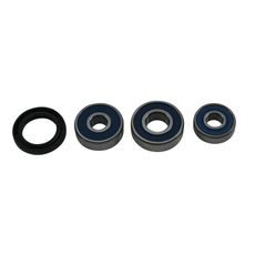 WHEEL BEARING KIT ALL BALLS RACING 25-1793 WB25-1793 GALINIS