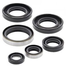 ENGINE OIL SEAL KIT WINDEROSA 822185